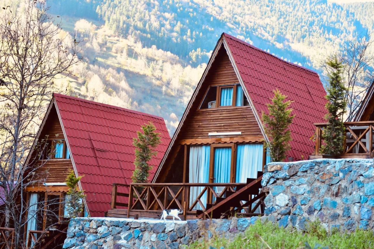 The Wooden House Uzungöl Exterior foto