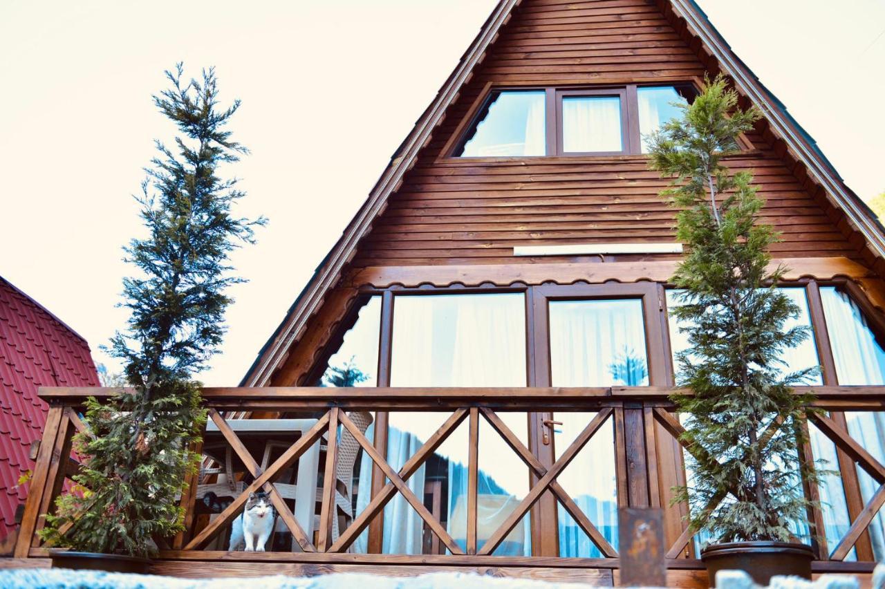 The Wooden House Uzungöl Exterior foto